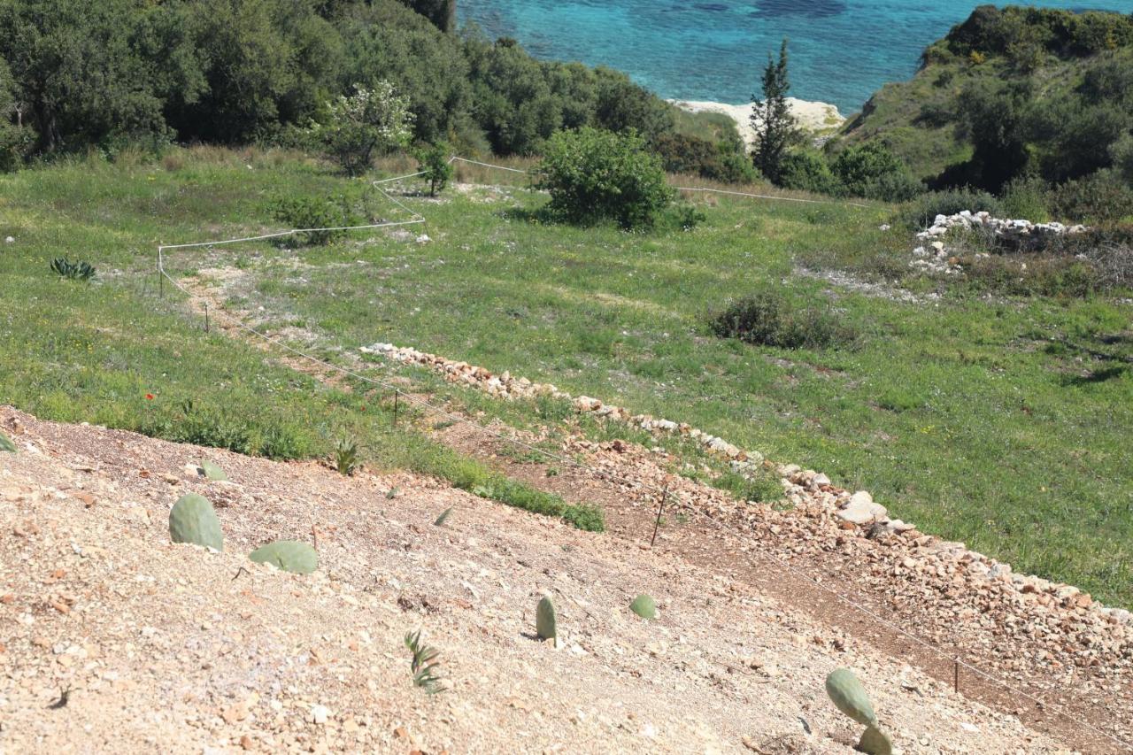 Zante Xigia Bay Villas Khartata Exterior photo